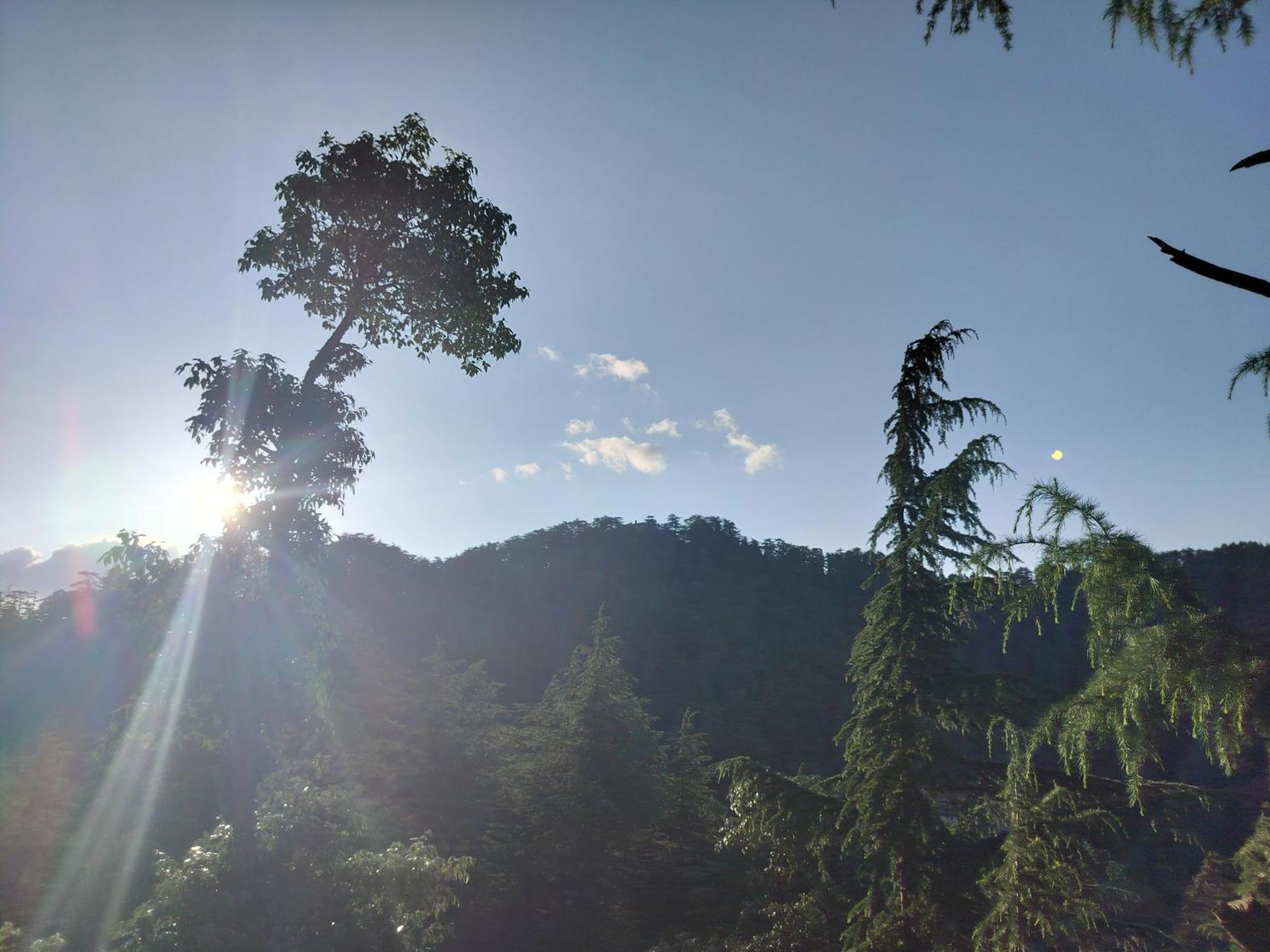 Tree Valley Homestay Chail Exterior photo