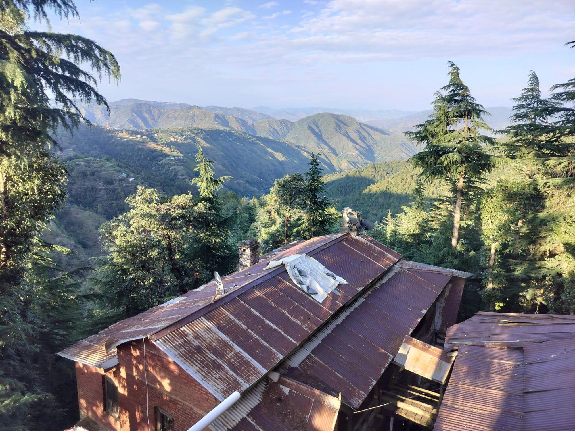 Tree Valley Homestay Chail Exterior photo
